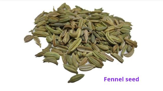 indian spice fennel seeds