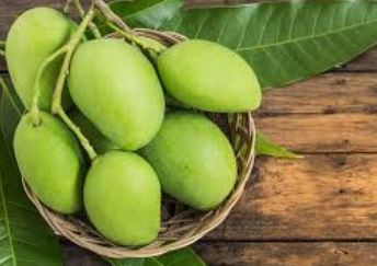 green raw mangoes