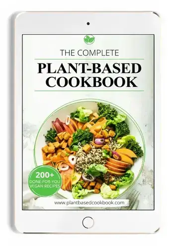 Plant based recipes
